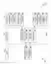 Fig. 03 - GAME ENGINE FOR ANALYTICAL GRAPHIC REPRESENTATIONS