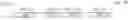 Fig. 13 - Generation of a display data set with volume rendering