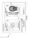 Fig. 19 - Virtual mask fitting system