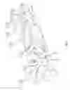 Fig. 02 - Identifying features in polygonal meshes
