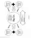 Fig. 15 - Computer implemented methods and systems for generating virtual body models for garment fit visualisation