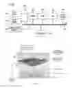 Fig. 02 - Three-dimensional virtual environment
