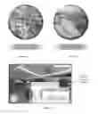 Fig. 06 - Three-dimensional virtual environment