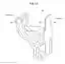 Fig. 12 - Product discharging device