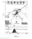 Fig. 12 - Display and control of time evolved conditions relative to a vehicle