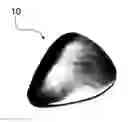 Fig. 01 - Guitar pick having CVD diamond or DLC coating