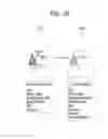 Fig. 28 - Mobile terminal and controlling method thereof