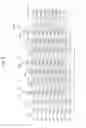 Fig. 07 - Programming dummy data into bad pages of a memory system and operating method thereof
