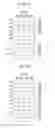 Fig. 11 - Programming dummy data into bad pages of a memory system and operating method thereof