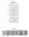 Fig. 06 - End of life prediction based on memory wear
