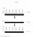 Fig. 09 - Nanoparticle-templated lithographic patterning of nanoscale electronic components