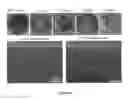 Fig. 07 - Electro-assisted transfer and fabrication of wire arrays