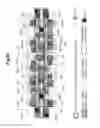 Fig. 30 - Semiconductor integrated circuit device
