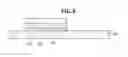 Fig. 09 - Display panel having improved brightness and method for fabricating the same