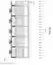 Fig. 08 - Integrated scintillator grid with photodiodes