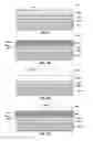 Fig. 07 - Semiconductor structures and devices and methods of forming semiconductor structures and magnetic memory cells