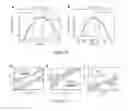 Fig. 07 - Phase transformation in transition metal dichalcogenides