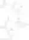 Fig. 306 - FORMULATION FOR THE PREPARATION OF ORGANIC ELECTRONIC (OE) DEVICES COMPRISING A POLYMERIC BINDER