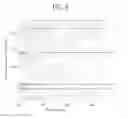 Fig. 07 - Organic light emitting display device with two emission portions