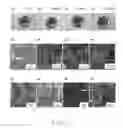 Fig. 09 - ROBUST MoS2/GRAPHENE COMPOSITE ELECTRODES FOR NA+ BATTERY APPLICATIONS