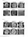 Fig. 02 - Cathode active material for lithium secondary battery and lithium secondary battery comprising the same