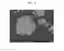 Fig. 06 - Negative active material and lithium battery including negative active material