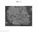 Fig. 08 - Negative active material and lithium battery including negative active material