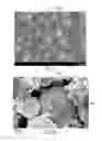 Fig. 06 - SYSTEMS AND METHODS FOR LITHIUM TITANATE OXIDE (LTO) ANODE ELECTRODES FOR LITHIUM ION BATTERY CELLS