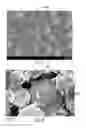 Fig. 06 - SYSTEMS AND METHODS FOR LITHIUM TITANATE OXIDE (LTO) ANODE ELECTRODES FOR LITHIUM ION BATTERY CELLS