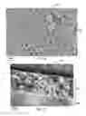Fig. 07 - SYSTEMS AND METHODS FOR LITHIUM TITANATE OXIDE (LTO) ANODE ELECTRODES FOR LITHIUM ION BATTERY CELLS