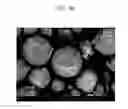 Fig. 05 - Positive active material for rechargeable lithium battery, method of preparing same and rechargeable lithium battery including same