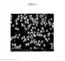 Fig. 06 - Positive active material for rechargeable lithium battery, method of preparing same and rechargeable lithium battery including same