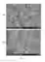 Fig. 05 - Carbonous anode material, method for producing the same, and lithium-ion battery containing the anode material