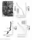 Fig. 02 - Non-PGM cathode catalysts for fuel cell application derived from heat treated heteroatomic amines precursors