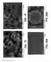 Fig. 09 - Non-PGM cathode catalysts for fuel cell application derived from heat treated heteroatomic amines precursors