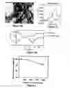 Fig. 04 - TEMPLATE DIRECTED FORMATION OF METAL NANOPARTICLES AND USES THEREOF