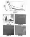 Fig. 05 - TEMPLATE DIRECTED FORMATION OF METAL NANOPARTICLES AND USES THEREOF