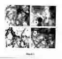 Fig. 06 - TEMPLATE DIRECTED FORMATION OF METAL NANOPARTICLES AND USES THEREOF