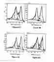 Fig. 07 - TEMPLATE DIRECTED FORMATION OF METAL NANOPARTICLES AND USES THEREOF