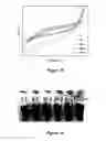 Fig. 11 - TEMPLATE DIRECTED FORMATION OF METAL NANOPARTICLES AND USES THEREOF