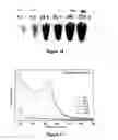 Fig. 13 - TEMPLATE DIRECTED FORMATION OF METAL NANOPARTICLES AND USES THEREOF