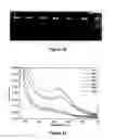 Fig. 15 - TEMPLATE DIRECTED FORMATION OF METAL NANOPARTICLES AND USES THEREOF