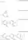 Fig. 06 - Polymer electrolyte and preparation method thereof