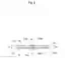 Fig. 06 - Electrolyte membrane roll body