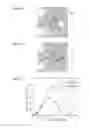 Fig. 04 - SOLID ELECTROLYTE, ALL-SOLID-STATE BATTERY INCLUDING THE SAME, AND METHOD FOR MAKING SOLID ELECTROLYTE
