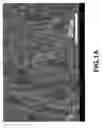 Fig. 02 - CONDUCTIVE AND LIQUID-RETAINING STRUCTURE