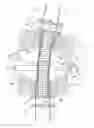 Fig. 01 - Resilient antenna mast