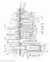 Fig. 04 - Printed circuit board assembly having improved terminals