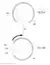 Fig. 05 - Cover component for connection port