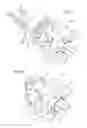 Fig. 08 - Shield unit
